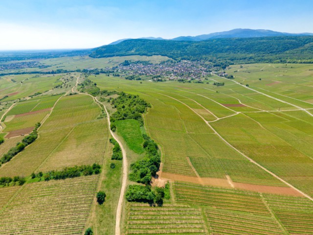 photo 360 par drone en alsace 68 au bollenberg dans la vallé noble